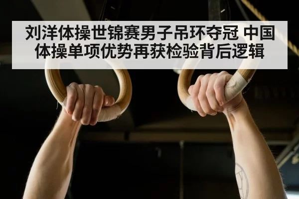 gymnastics training rings